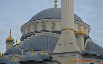 denge-kolonu-ve-alemleri-1b73