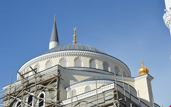 denge-kolonu-ve-alemleri-8923